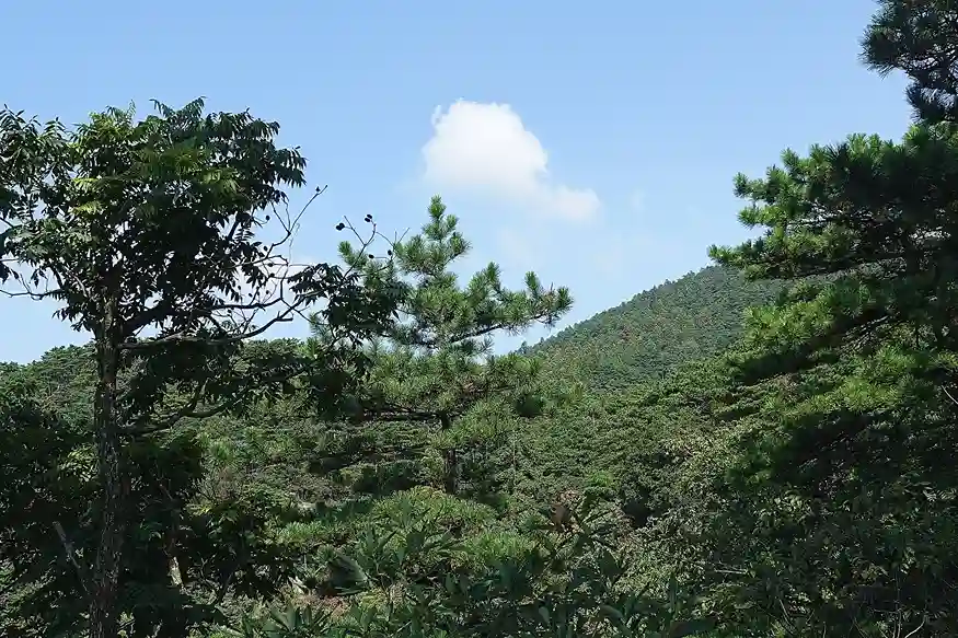 整理了下电脑桌面,顺便修了修博客,舒服