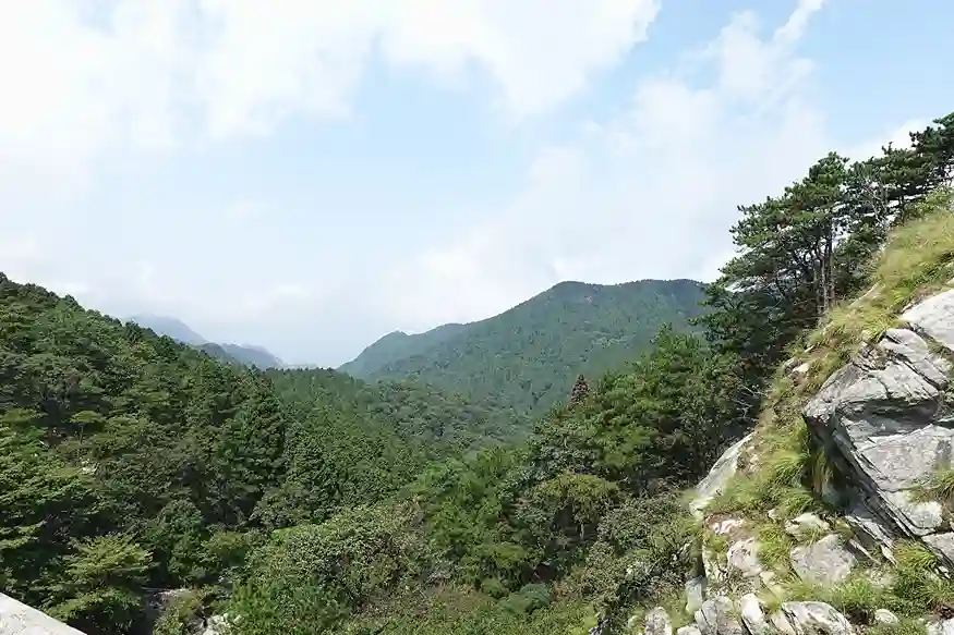 HTML标题